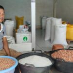 harga beras