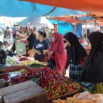 harga tomat