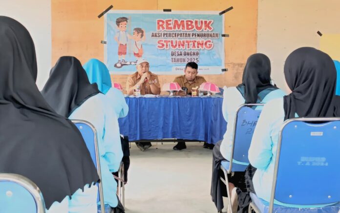 kkn iain parepare